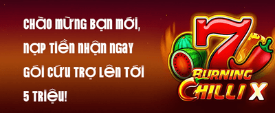 Hoàn Trả VIP Hàng Ngày 2% promotion banner